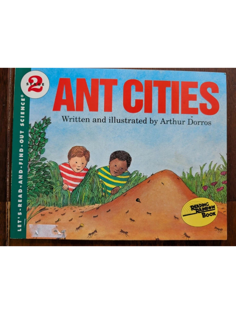 Ant cities